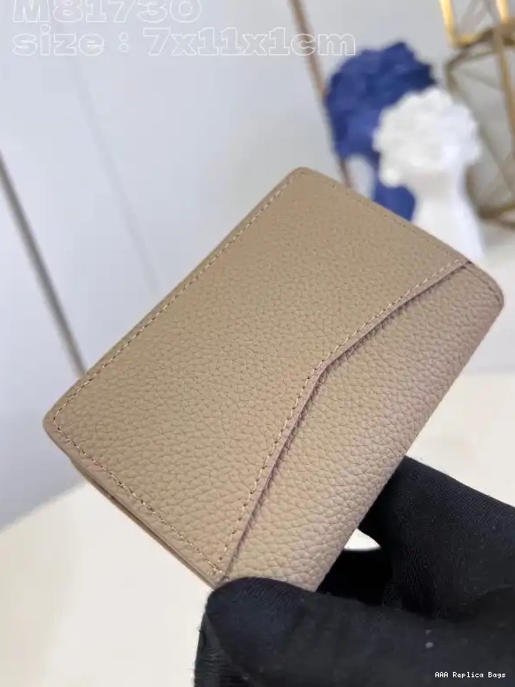 Aaa replica bags Organizer Louis Pocket Vuitton 0704